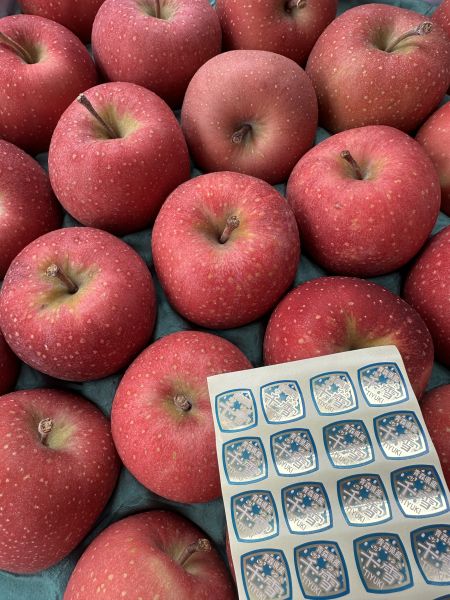 [綿密芳香甘甜不酸]日本青森千雪蘋果 日本青森千雪蘋果