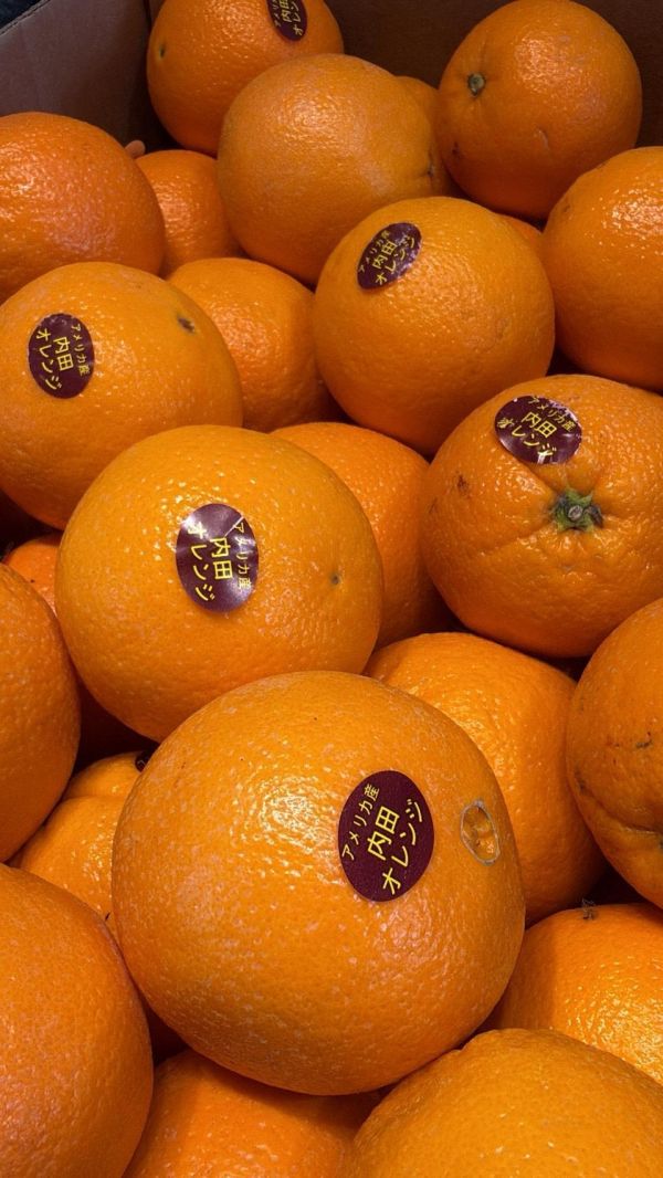 [甘甜可口]美國內田肚臍丁 美國內田肚臍丁