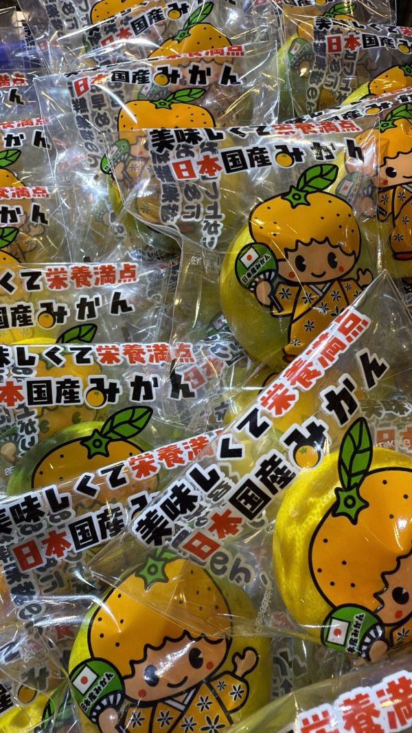 [甘甜多汁香氣十足][單顆]日本愛媛蜜柑 愛媛温室みかん 日本愛媛蜜柑家庭號