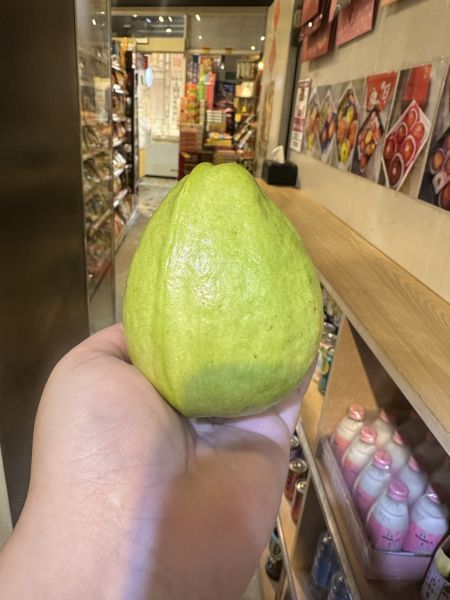 [鮮脆爽口]燕巢芭樂 燕巢芭樂