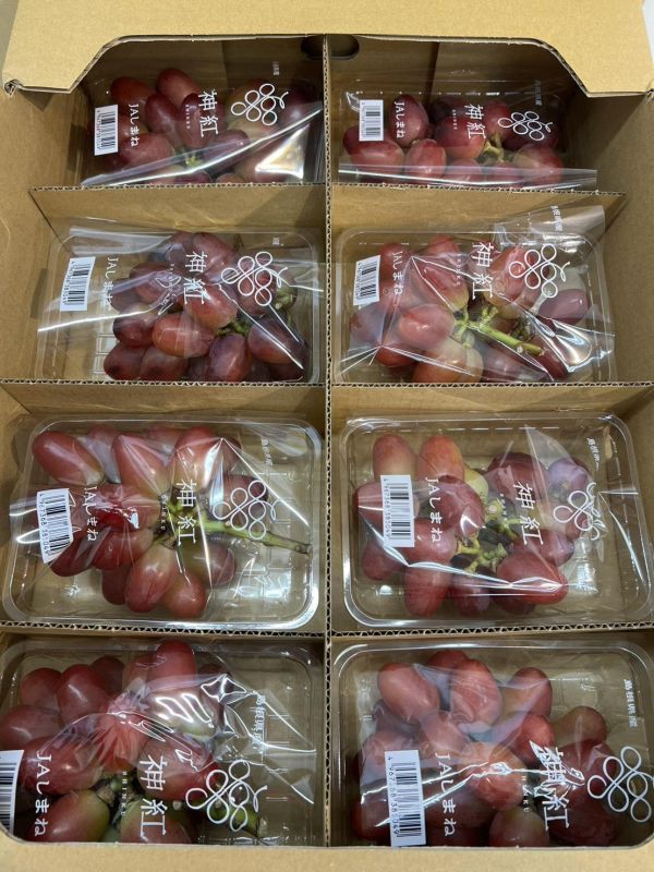 (有獨特花果香氣)日本島根神紅葡萄嚐鮮盒 
