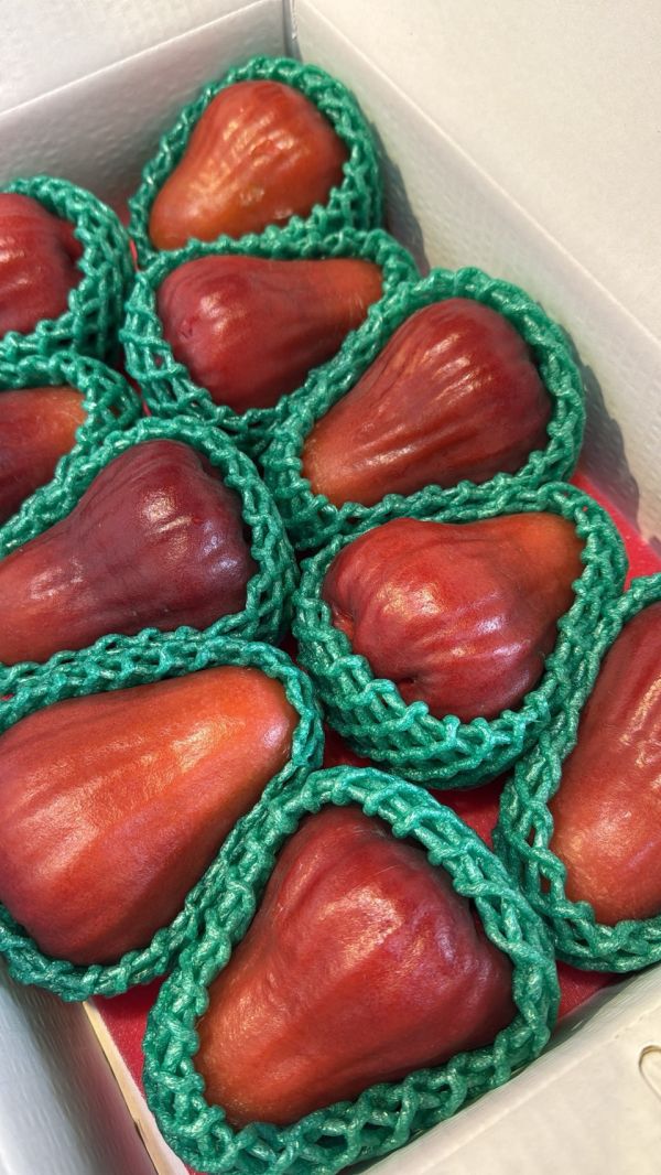 [甘甜香氣十足]頂級黑糖芭比蓮霧 頂級黑糖芭比蓮霧