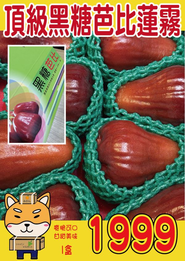 [甘甜香氣十足]頂級黑糖芭比蓮霧 頂級黑糖芭比蓮霧