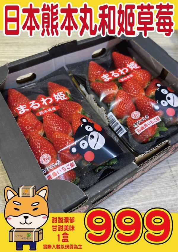 日本丸和姬草莓 日本丸和姬草莓
