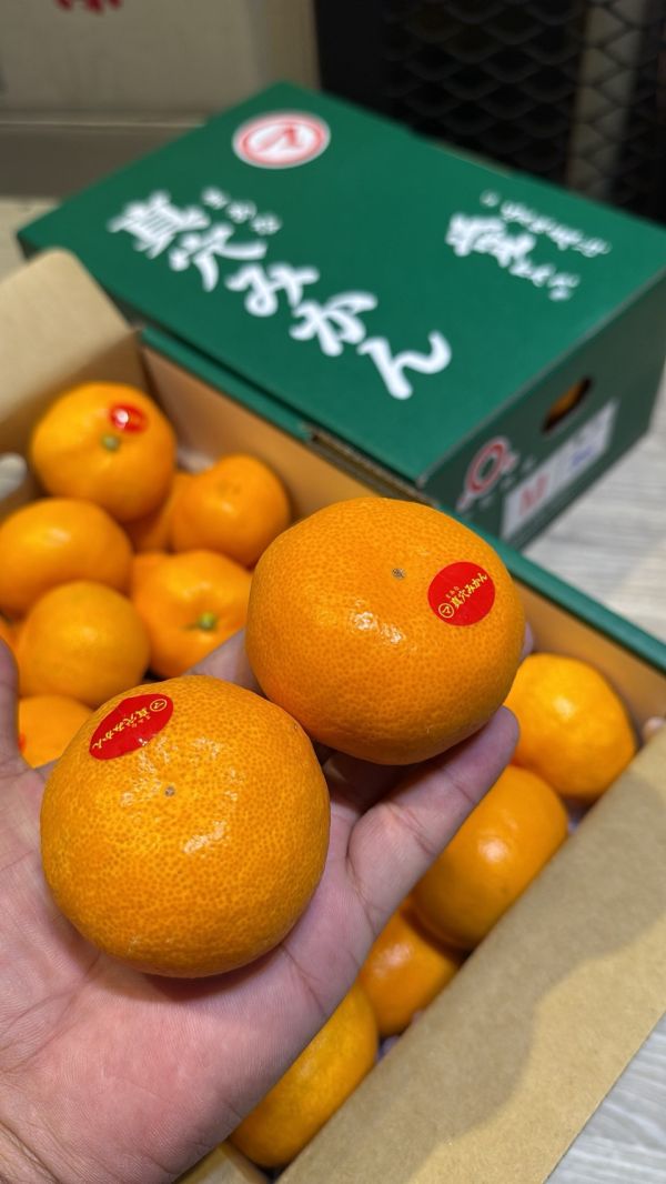 [甘甜多汁香氣十足][禮盒]日本愛媛真穴頂級柑3kg 日本愛媛真穴頂級柑3kg