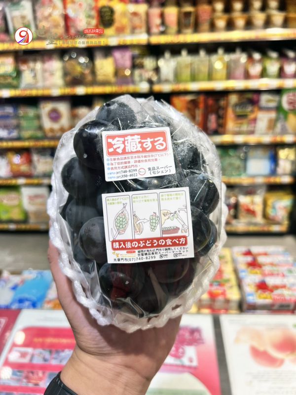 [甘甜不膩醇厚香氣][可加購禮盒]日本福岡溫室博多貓眼葡萄 博多ピオーネ 日本麝香,麝香葡萄,巨峰葡萄,黑葡萄,無籽葡萄,日本葡萄,貓眼葡萄
