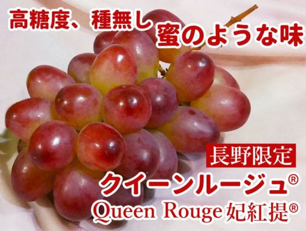 [極致甘甜]日本長野妃紅提葡萄嚐鮮盒 クイーンルージュ 日本麝香,麝香葡萄,シャインマスカット,妃紅提葡萄,クイーンルージュ,無籽葡萄,日本葡萄,紅葡萄