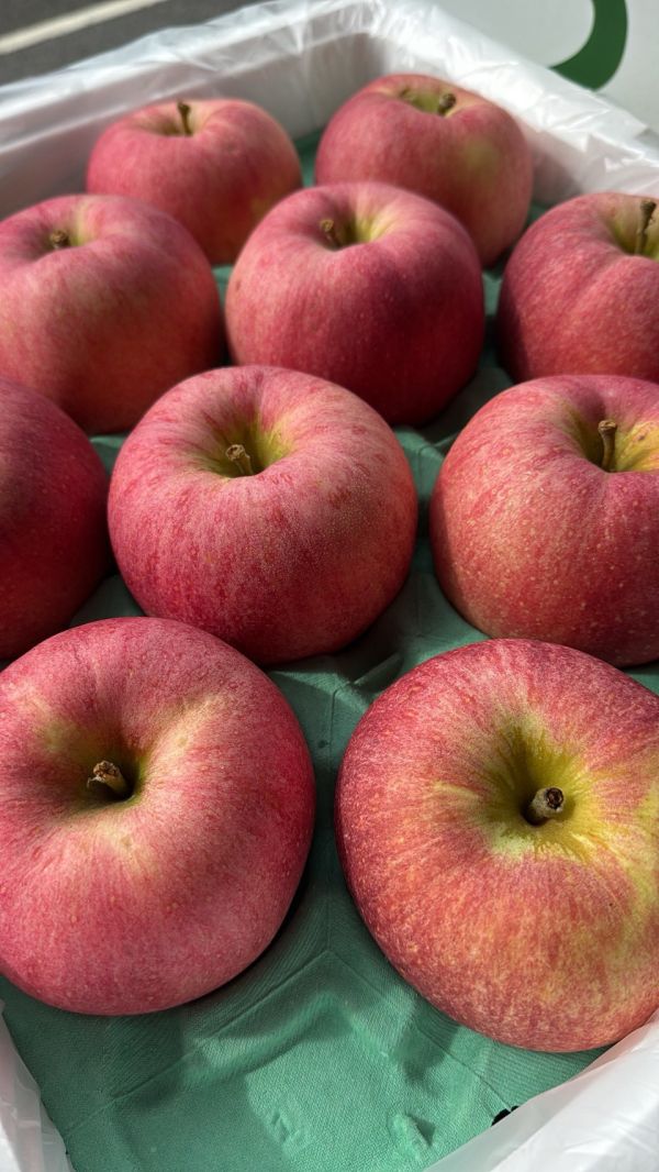 [巨大紅潤中脆甘甜]日本青森大紅榮蘋果 大紅栄 だいこうえい 日本青森蘋果,大紅榮蘋果,大紅栄,だいこうえい