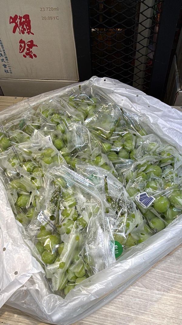 [清爽甘甜香氣特別]智利秋脆綠無籽葡萄 智利秋脆綠無籽葡萄