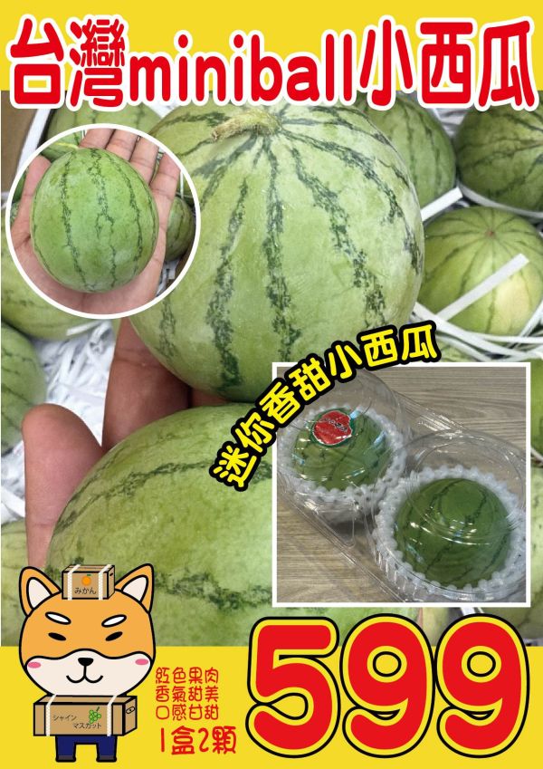 [果肉紅潤皮薄脆甜]台灣MINIBALL小西瓜 台灣MINIBALL小西瓜