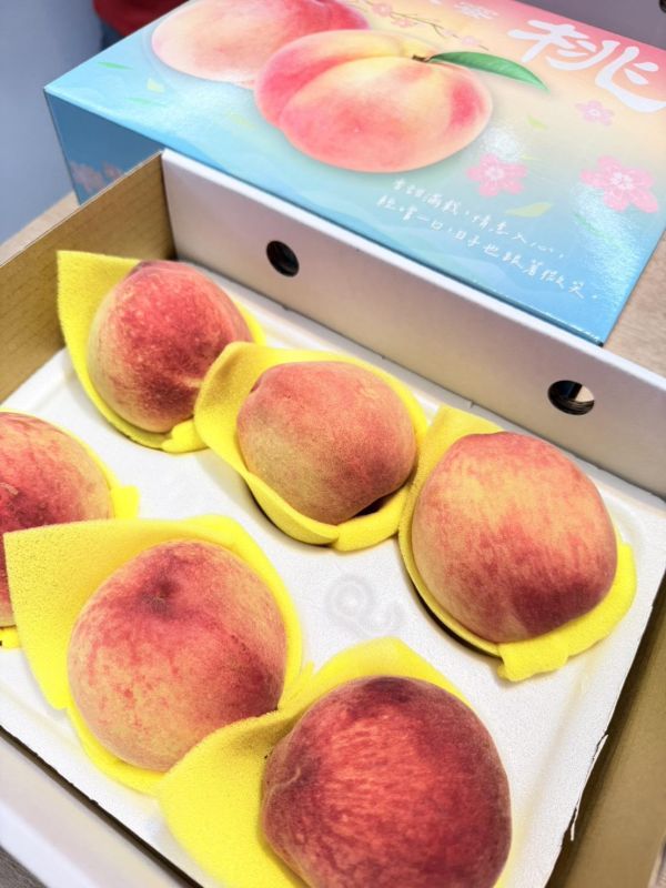 [香氣豐富細緻甘甜]台灣中部高山紅鈴水蜜桃 台灣中部高山紅鈴水蜜桃