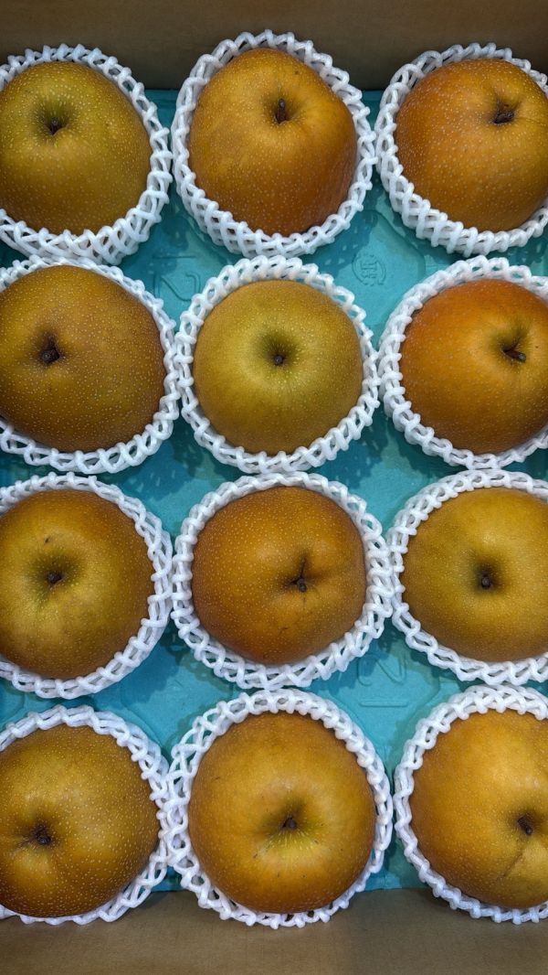 [爽脆甜度高]日本長野新高梨 日本長野新高梨