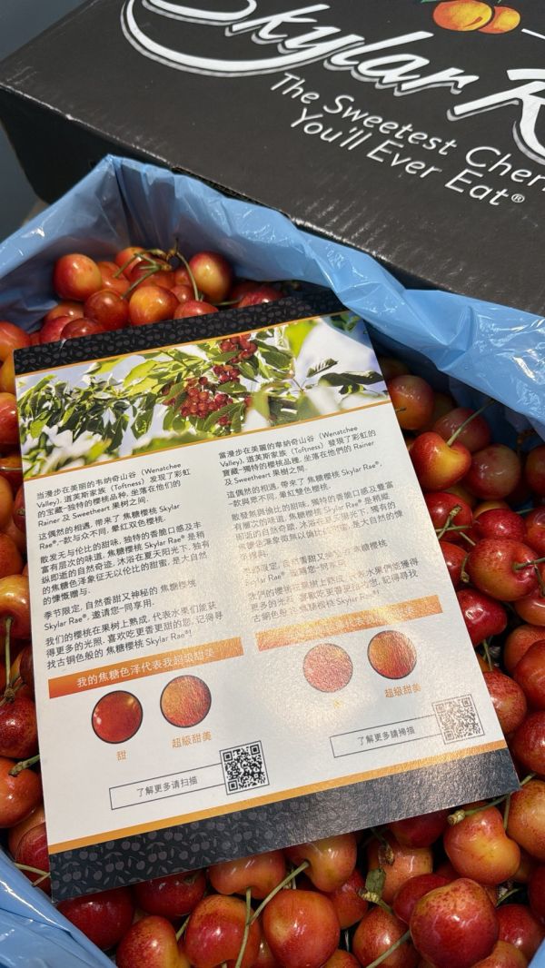[脆甜清爽超人氣][原裝箱]美國華盛頓空運SKYLAR RAE草莓糖心白櫻桃 美國白櫻桃,智利櫻桃,空運櫻桃,紐西蘭櫻桃,塔斯馬尼亞櫻桃,紅櫻桃,白櫻桃