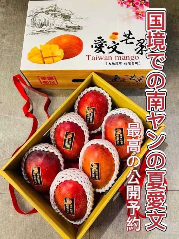 [汁多豐富濃郁香甜][整箱規格]屏東枋山艷之夏愛文芒果 珍珠芒果,迷你芒果,愛文芒果,枋山芒果,艷之夏芒果