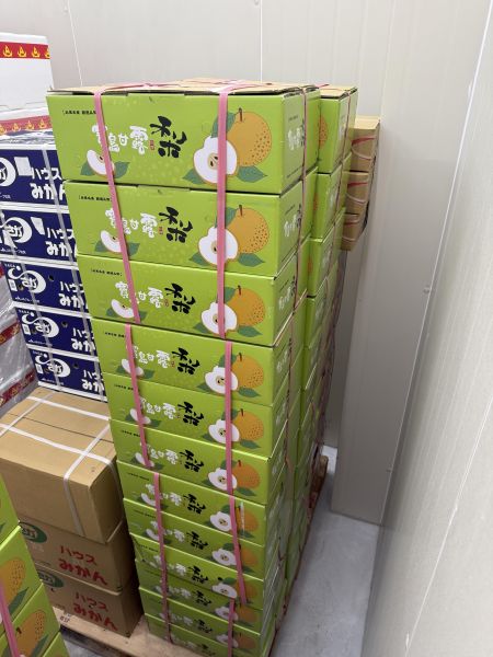 (果肉細緻、口感清脆)臺灣台中東勢寶島甘露梨 梨