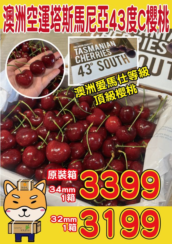 [甘甜濃郁幾乎不酸]澳洲空運塔斯馬尼亞43度C櫻桃 澳洲空運塔斯馬尼亞43度C櫻桃