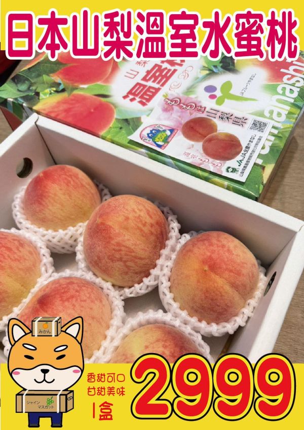 [細緻芳香甘甜]日本山梨溫室水蜜桃 山梨温室桃 もも 日本山梨水蜜桃,もも,モモ,白鳳,川中島,なつっこ,日川,夏子,室外桃