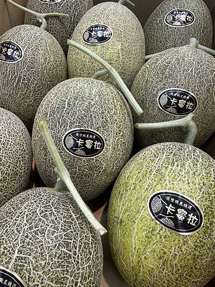 [獨特清脆甘甜感][可加購禮盒]台南後壁卡蜜拉橘肉哈密瓜 卡蜜拉哈密瓜,卡蜜拉洋香瓜,極光哈密瓜