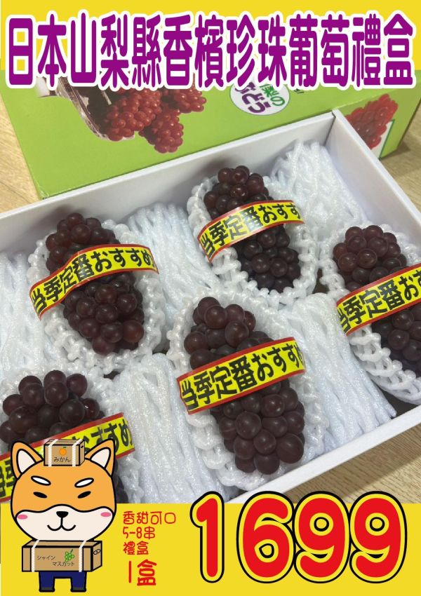 [香甜微酸無籽水潤][禮盒式]日本山梨香檳珍珠葡萄 德拉瓦葡萄 デラウェア 日本山梨香檳珍珠葡萄,德拉瓦葡萄,デラウェア,麝香葡萄,貓眼葡萄