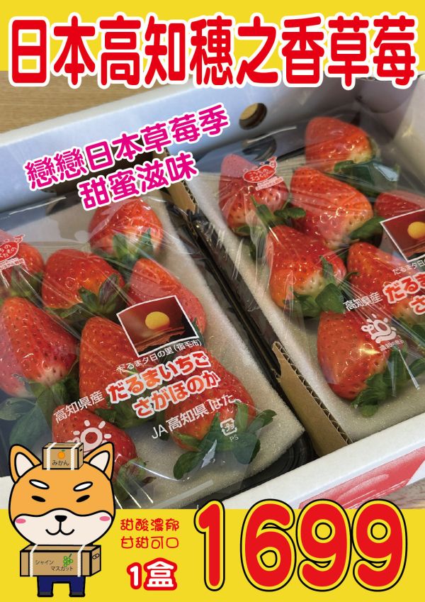 [甘甜香氣十足]日本高知穗之香草莓 日本高知穗之香草莓