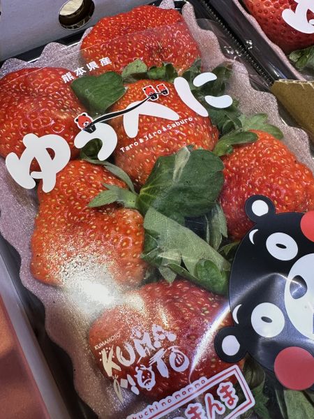 [糖蜜草莓甜如蜜]日本熊本菊池小糖蜜草莓 日本熊本菊池糖蜜草莓