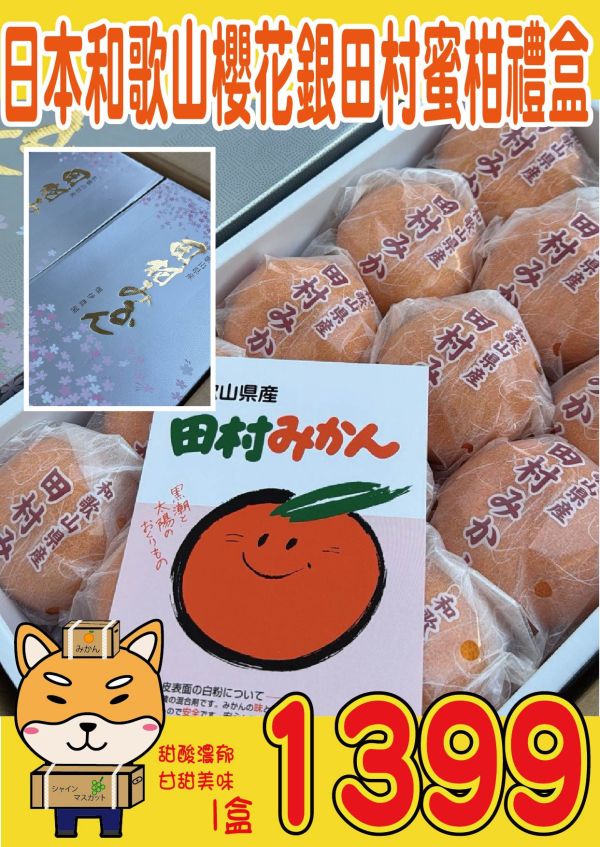 [甘甜多汁香氣十足][禮盒]日本和歌山櫻花銀田村蜜柑禮盒 日本和歌山櫻花銀田村蜜柑禮盒