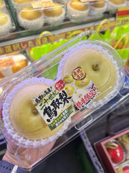 [連皮細緻清甜多汁][2入裝]日本鳥取二十世紀梨 鳥取梨 