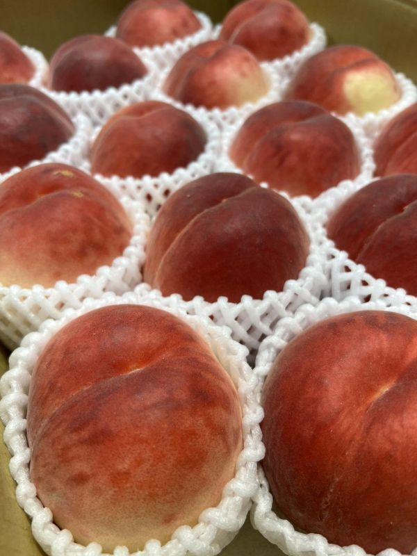 (果肉細緻、香氣濃郁)日本山梨春日居水蜜桃 