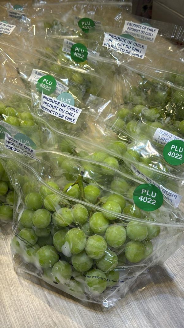 [清爽甘甜香氣特別]智利秋脆綠無籽葡萄 智利秋脆綠無籽葡萄