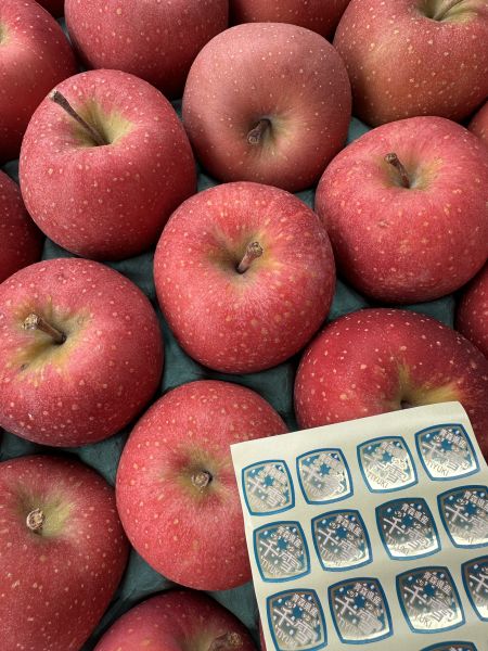 [綿密芳香甘甜不酸]日本青森千雪蘋果 日本青森千雪蘋果