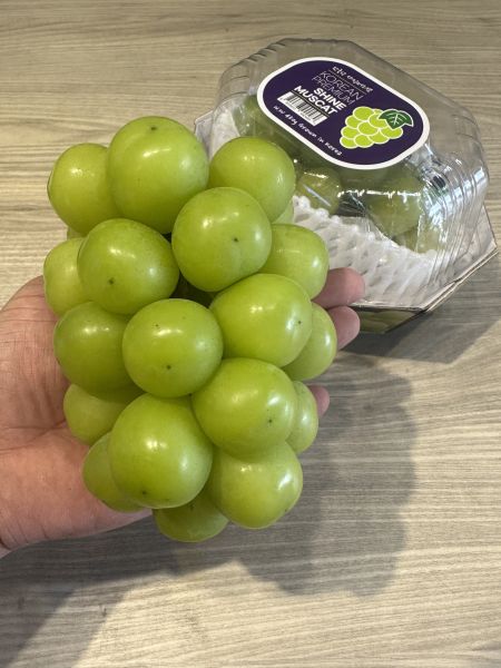 [質感Q彈清爽甘甜][盒裝]韓國麝香葡萄 