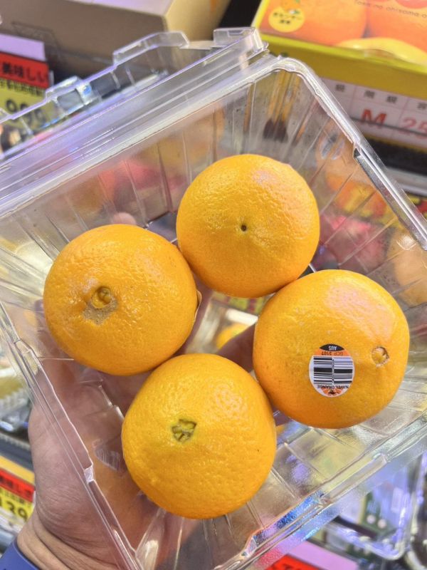 [清爽美味]澳洲無籽肚臍丁 香吉士 肚丁 臍橙 Navel Orange 