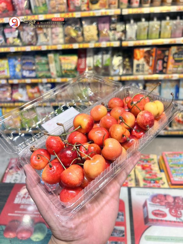 [清爽超人氣][嚐鮮盒]加拿大空運蕾妮爾白櫻桃 雷尼爾 US-WA Rainier Cherries [清爽超人氣][嚐鮮盒]加拿大空運蕾妮爾白櫻桃 雷尼爾 US-WA Rainier Cherries
