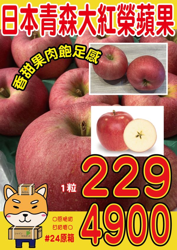 [巨大紅潤中脆甘甜]日本青森大紅榮蘋果 大紅栄 だいこうえい 日本青森蘋果,大紅榮蘋果,大紅栄,だいこうえい