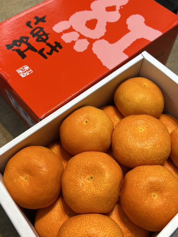 [清甜爽口香氣][禮盒式]日本香川縣小原紅蜜柑 蜜柑