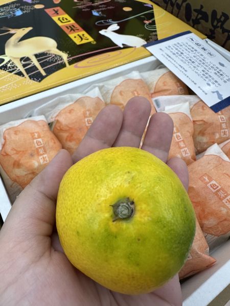 [甘甜少酸柔軟多汁]日本和歌山才色果實蜜柑禮盒 才色果実 みかん 才色果實,日本蜜柑,日本小橘子,日本柑橘,和歌山蜜柑