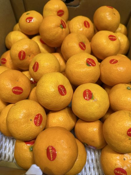 [甘甜多汁香氣十足][禮盒]日本愛媛真穴頂級柑5kg 日本愛媛真穴頂級柑5kg