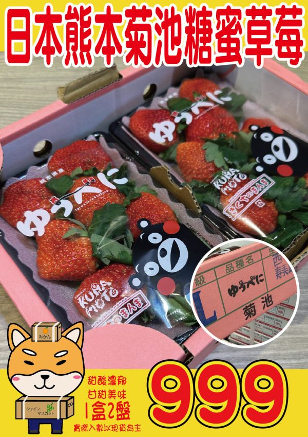 [糖蜜草莓甜如蜜]日本熊本菊池小糖蜜草莓 日本熊本菊池糖蜜草莓