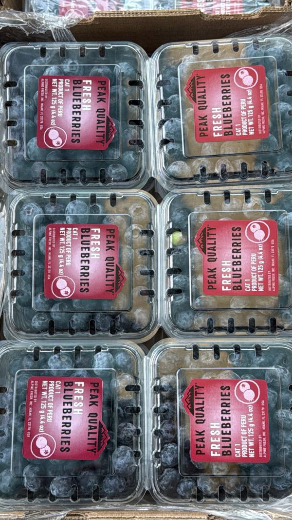[甜酸均衡香氣佳]祕魯中果藍莓 Peru Blueberries 藍莓,祕魯中果藍莓,花青素