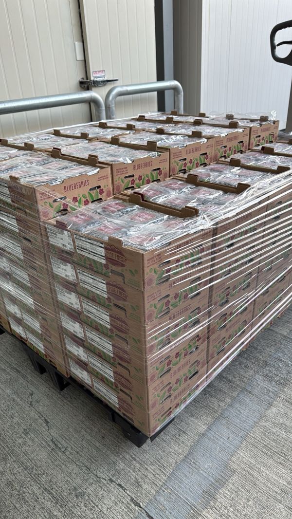 [甜酸均衡香氣佳]祕魯中果藍莓 Peru Blueberries 藍莓,祕魯中果藍莓,花青素