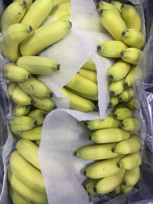 [香甜可口]旗山香蕉 旗山香蕉