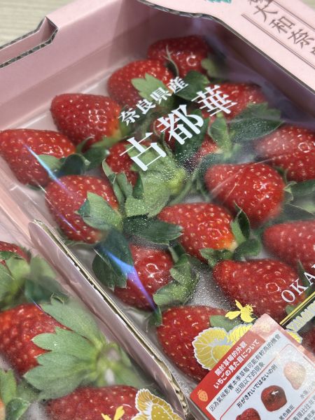 [隨機入數出貨]日本奈良草莓 奈良産いちご 古都華 日本奈良草莓 奈良産いちご 古都華