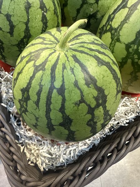 [黃肉品種甘甜多汁]小玉西瓜 小玉西瓜