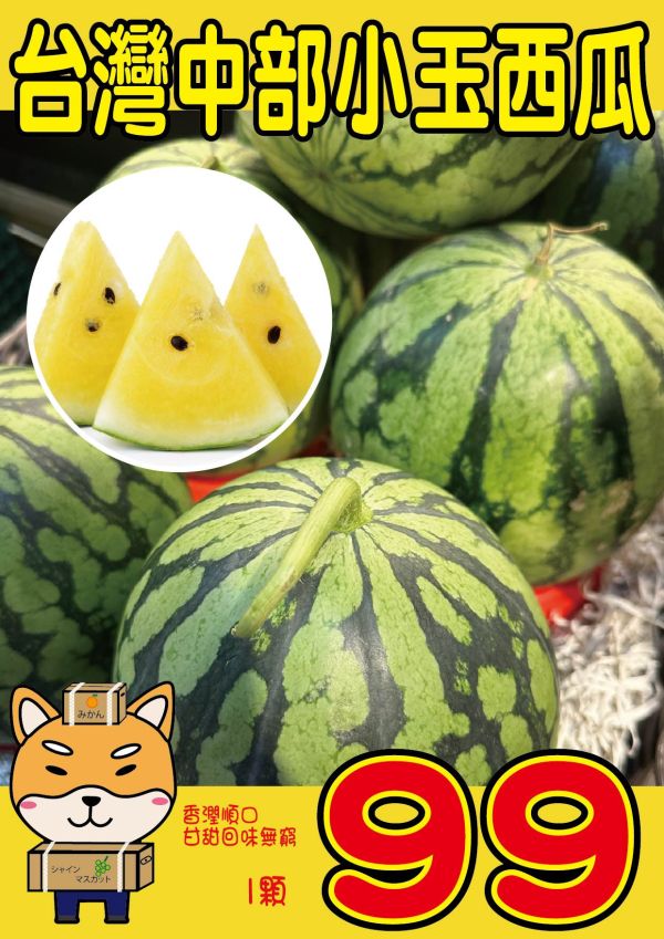 [黃肉品種甘甜多汁]小玉西瓜 小玉西瓜