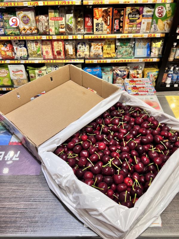 [甜酸濃郁超人氣][原箱5kg]美國華盛頓空運櫻桃 US-WA Cherries 西北櫻桃 加州櫻桃,華盛頓櫻桃,美國櫻桃,西北櫻桃