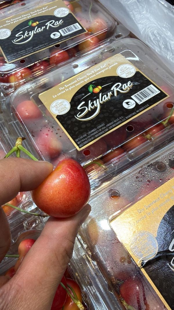 [甘甜濃郁][450g嚐鮮盒]美國華盛頓空運Skylar Rae草莓白櫻桃 美國華盛頓空運北極熊櫻桃原裝箱