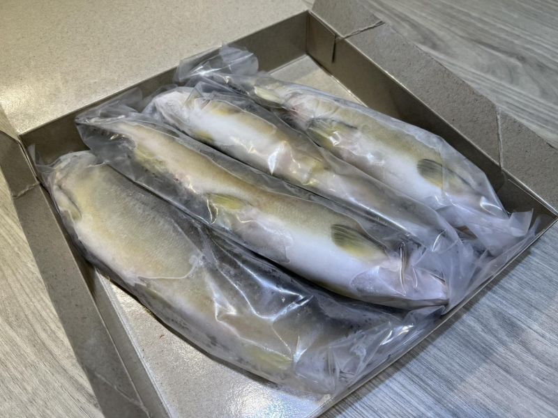 [煎烤都美味]特選宜蘭爆卵母香魚950g 爆卵母香魚,母香魚,宜蘭香魚