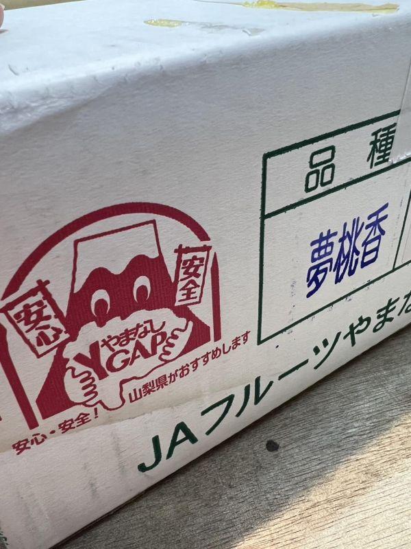 (果肉細緻、香氣濃郁)日本山梨春日居水蜜桃 