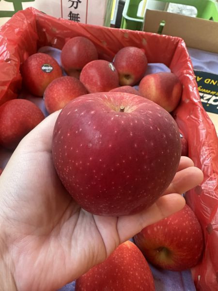 [果肉潔白爽脆香甜][單顆]紐西蘭炫麗蘋果 紐西蘭炫麗蘋果