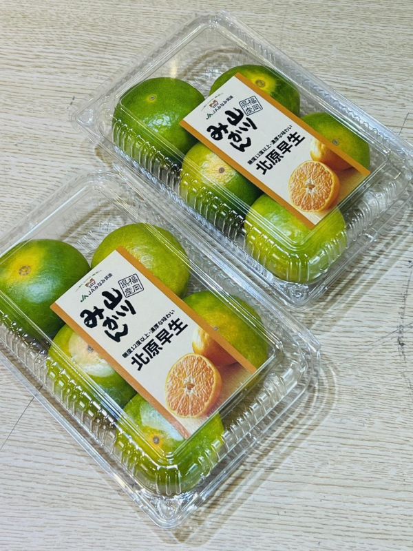 [皮薄好剝]日本福岡早生蜜柑嚐鮮盒 蜜柑 砂糖橘